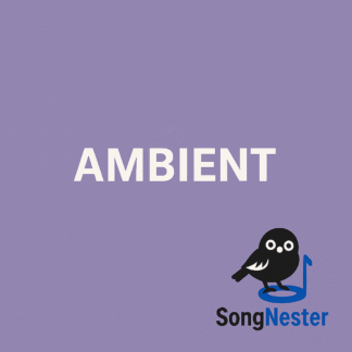 Ambient Music
