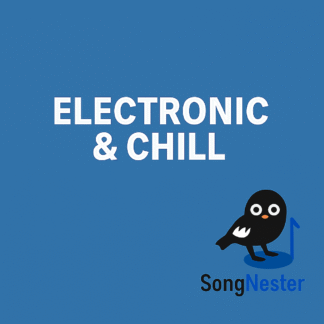 Electronic & Chill Music